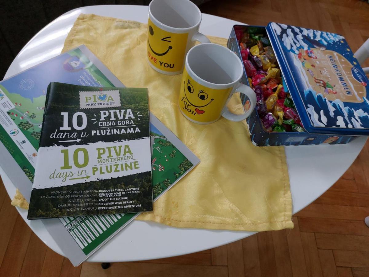 Apartman Pavle Plužine Esterno foto