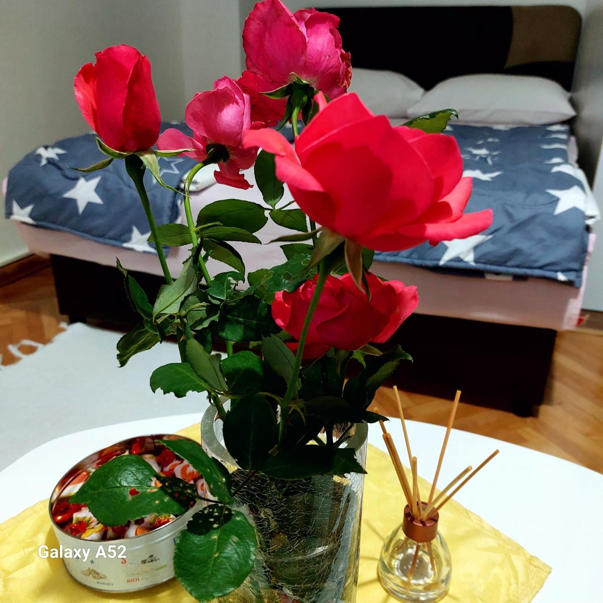 Apartman Pavle Plužine Esterno foto