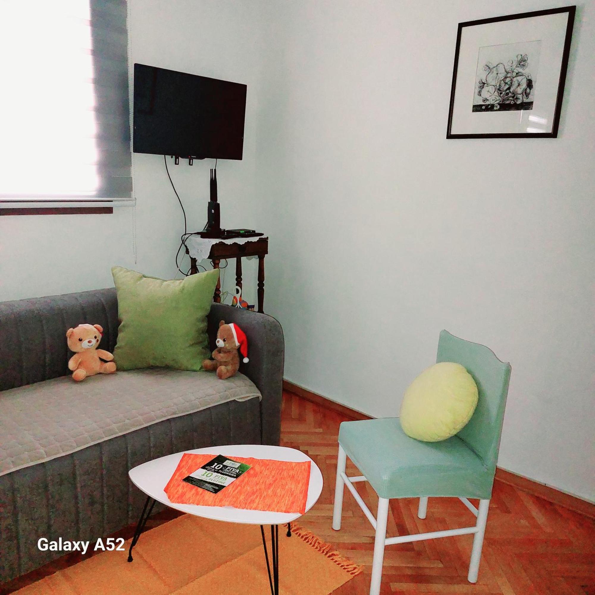Apartman Pavle Plužine Esterno foto
